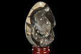 Septarian Dragon Egg Geode - Black Crystals #98830-1